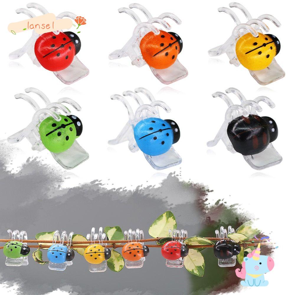 Set 30 Kẹp Cố Định Dây Leo Bền Bỉ Nhiều Màu Sắc Hình Bọ Rùa