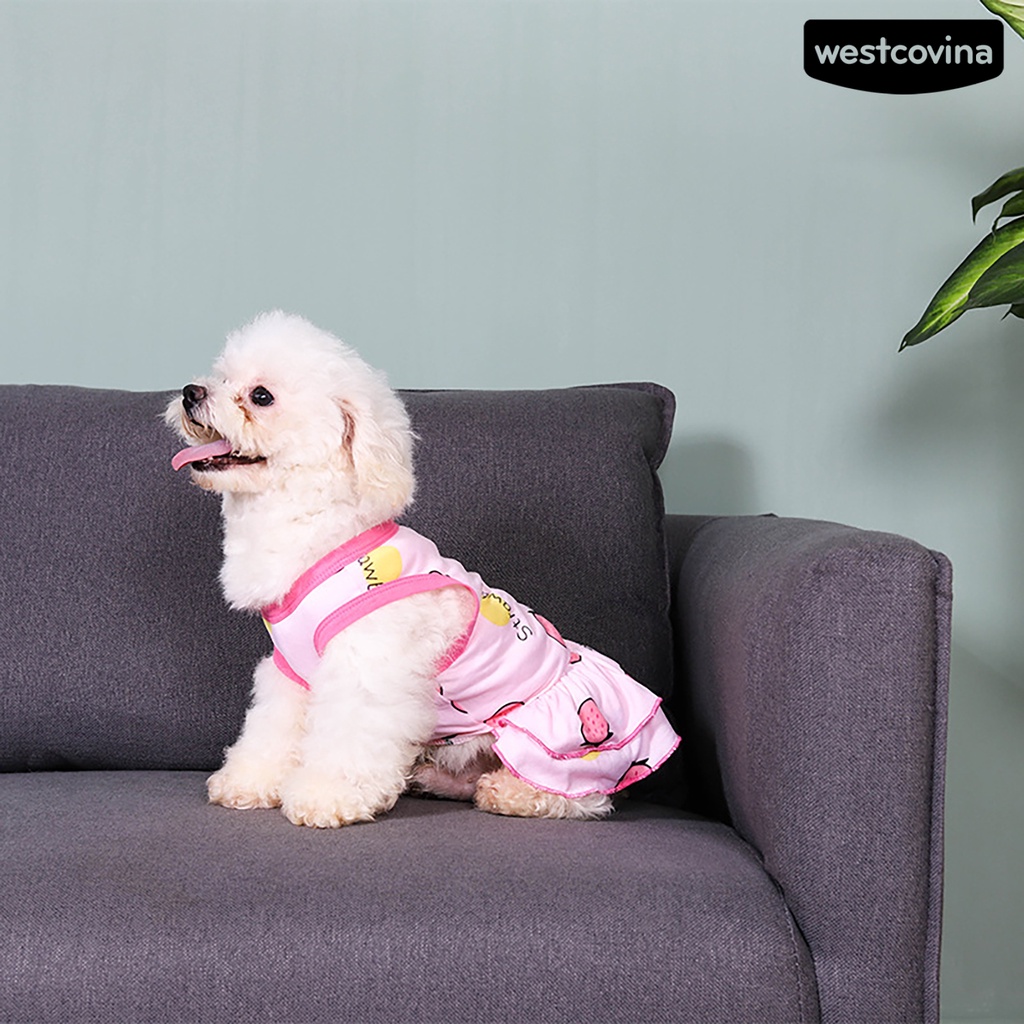 [COD]♞Đầm Công Chúa Mùa Hè Hai Lớp Bằng Vải Cotton Viền Xếp Nếp In Họa Tiết Trái Cây Cho Cún