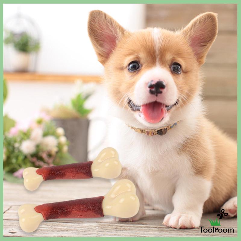 Khúc Xương Đồ Chơi Cho Cún Cưng Khi Đi Du Lịch
