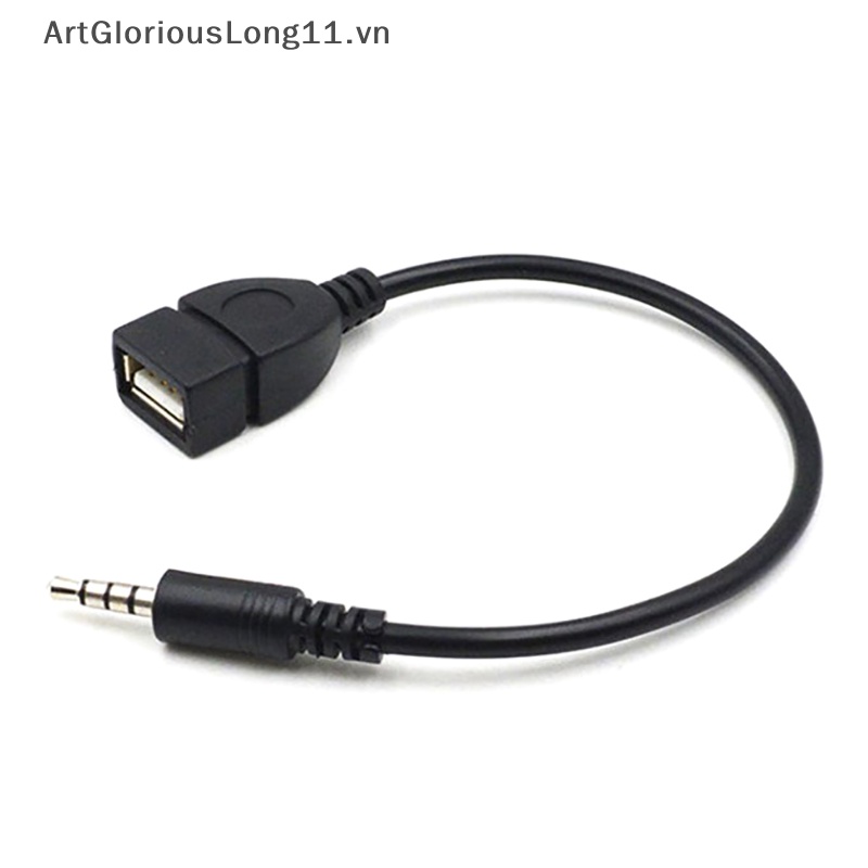 Dây Cáp Chuyển Đổi Đầu Cắm 3.5Mm AUX / MP3 Sang Cổng USB 2.0 Cho Xe Hơi