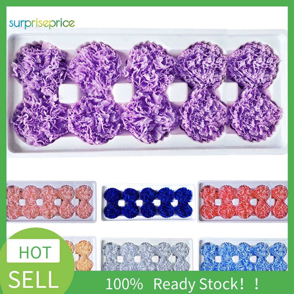 Bộ 10 Hoa Khô Nhiều Màu Sắc Dùng Trưng Bày Quà Tặng