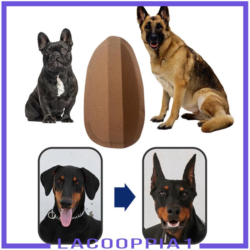 Miếng Dán Đứng Tai Nghe Cho Thú Cưng Doberman Pinscher