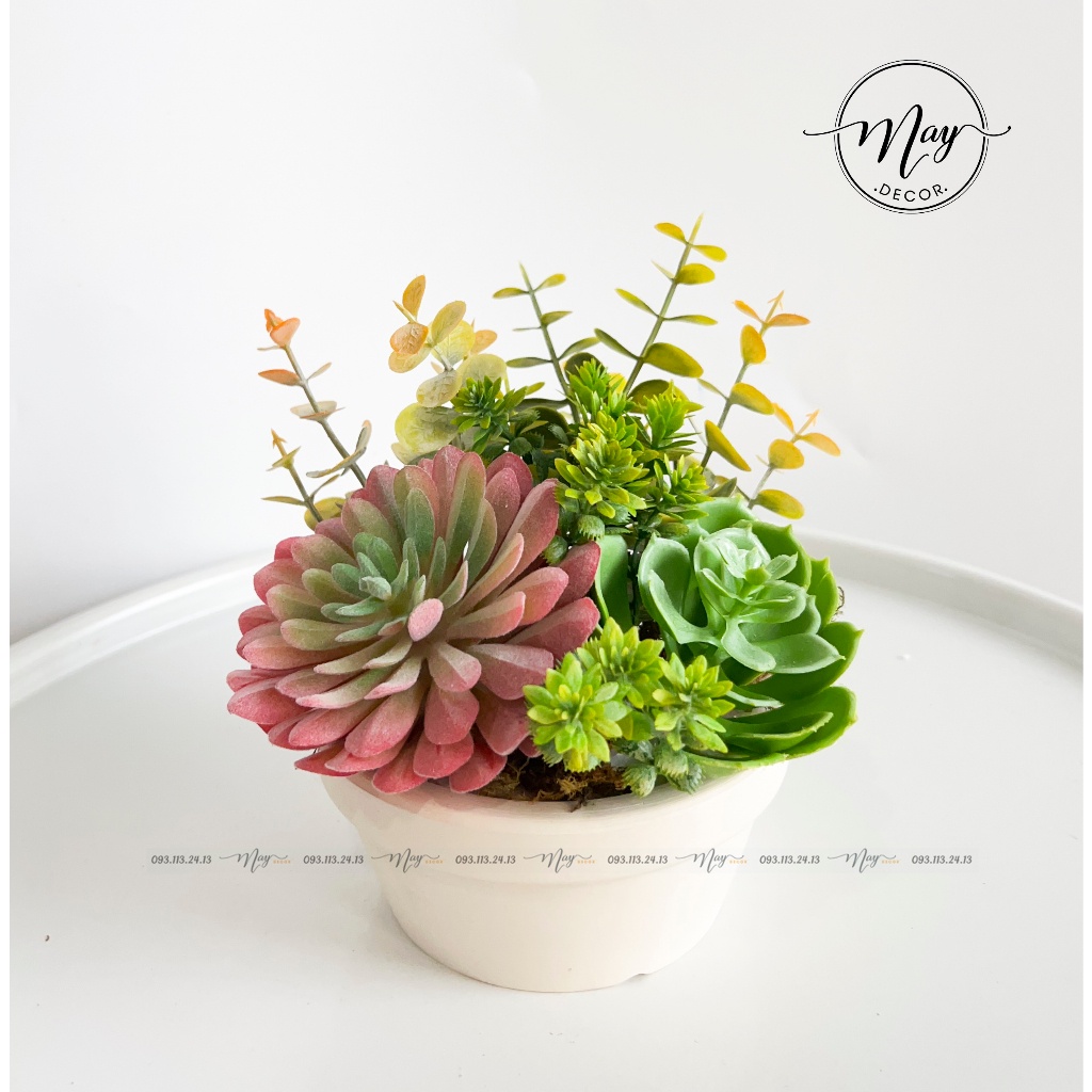 Chậu cây giả, Chậu Sen Quan Âm Hồng Mix sen đá trang trí