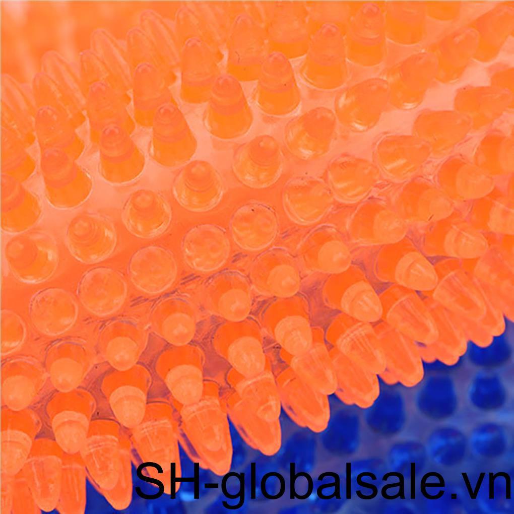 Đồ Chơi Nhai Gặm Hình Tròn Cỡ Lớn Có Âm Thanh Vui Nhộn Cho Thú Cưng