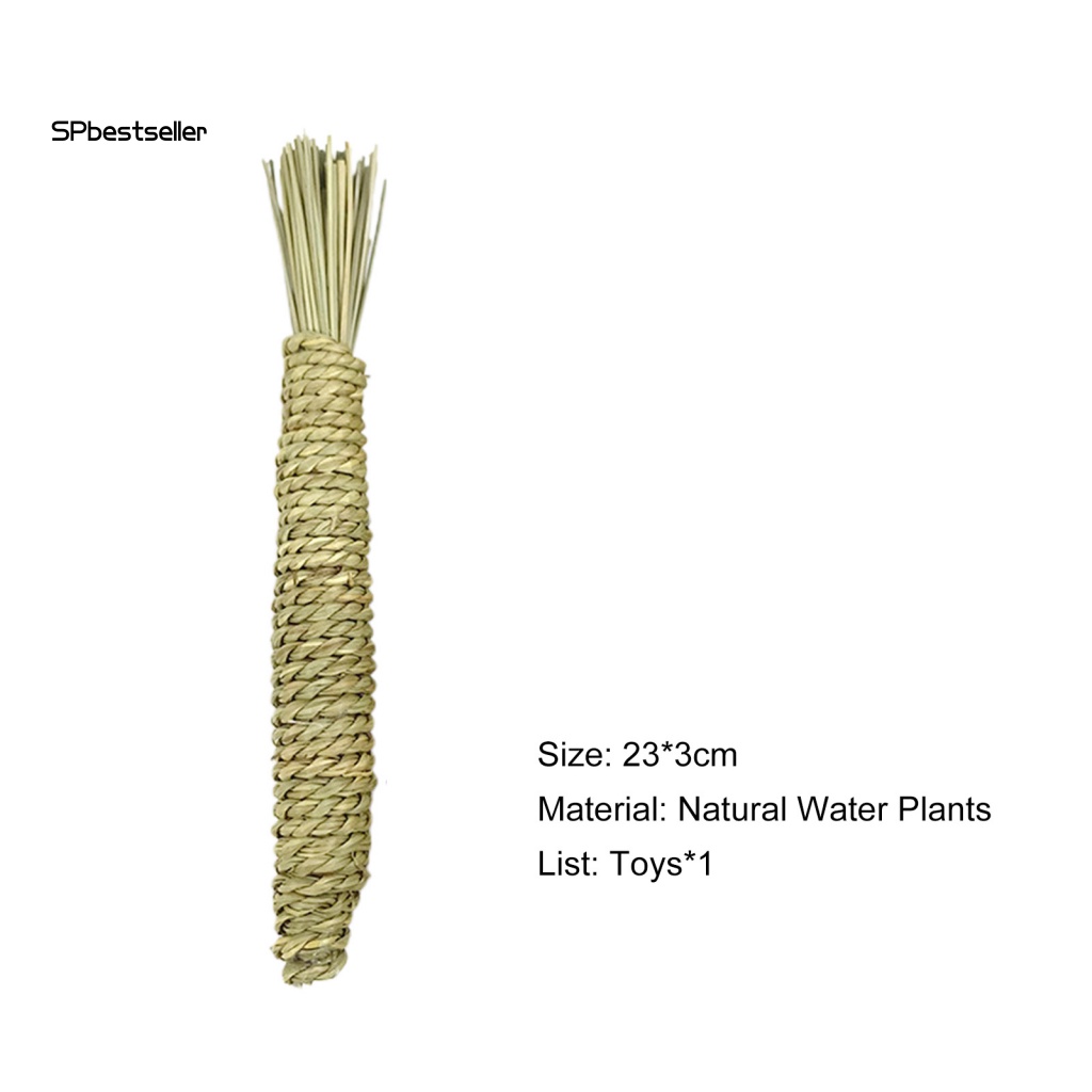 Đồ Chơi Nhai Cắn Hình Cà Rốt / Củ Cà Rốt Bằng Sợi Cỏ Nhỏ Sáng Tạo Cho Hamster