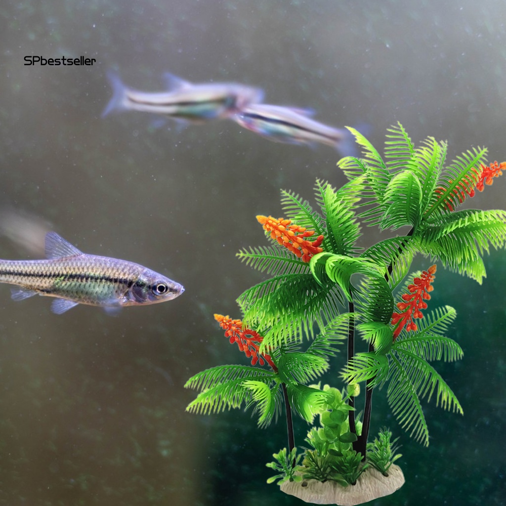 Phụ Kiện Trang Trí Bể Cá Cảnh Độc Đáo Đẹp Mắt