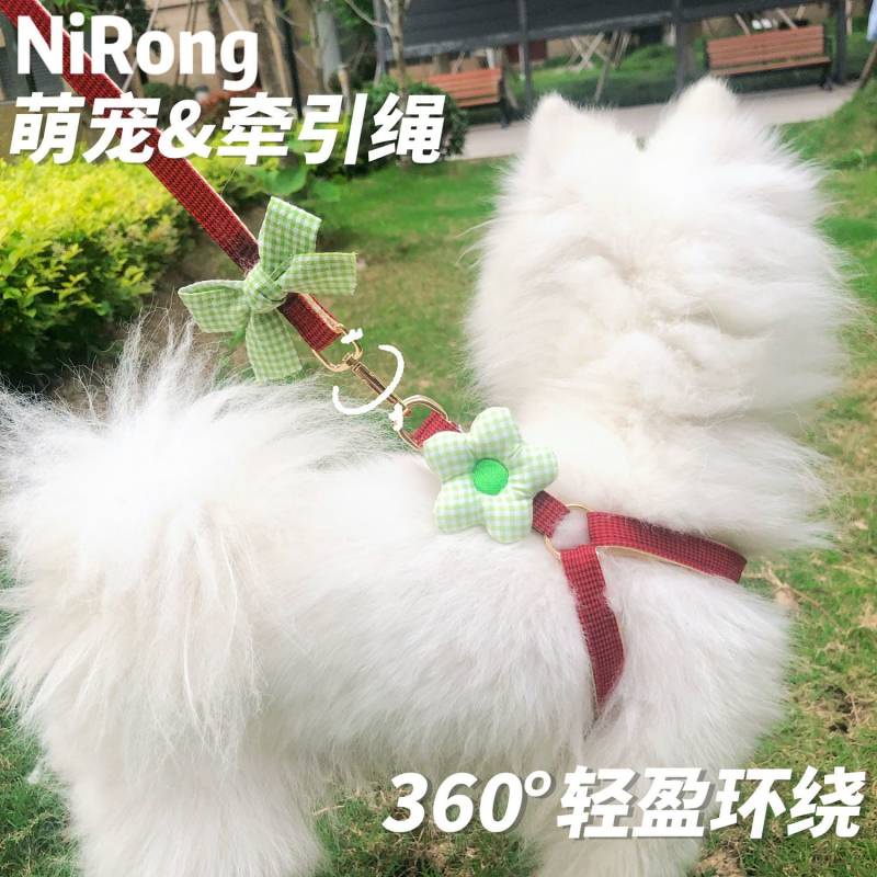 Dog Hand Holding Rope Small Dog Star Flower Bow Pomeranian Teddy Anti-off Outdoor Dog Leash Chest Back Slip Street Collar F4if