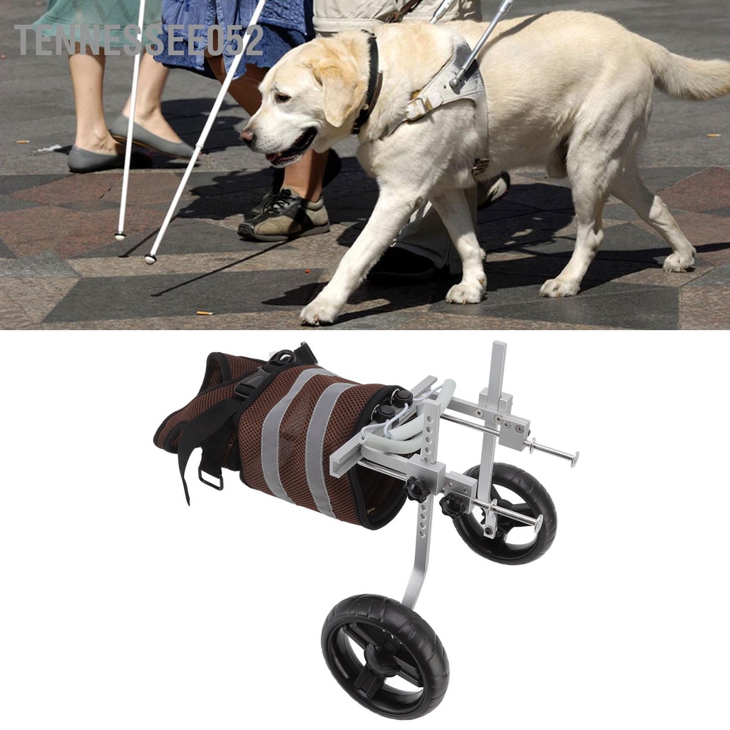 Xe lăn Cho Chó liệt hai chân sau 2 Bánh có đai yếm lưới thoáng khí Phản Quang