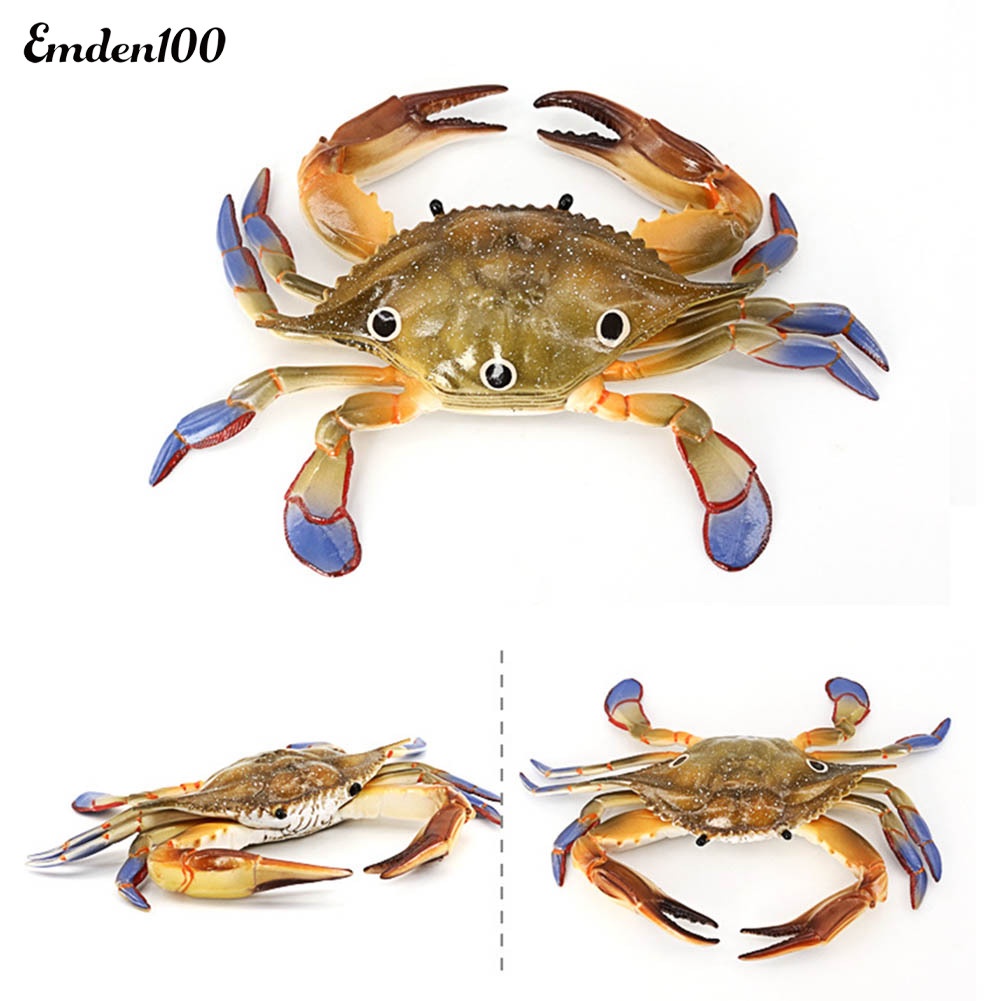 Đồ trang trí Cua Biển Đồ Chơi Bằng Nhựa Cho Bé