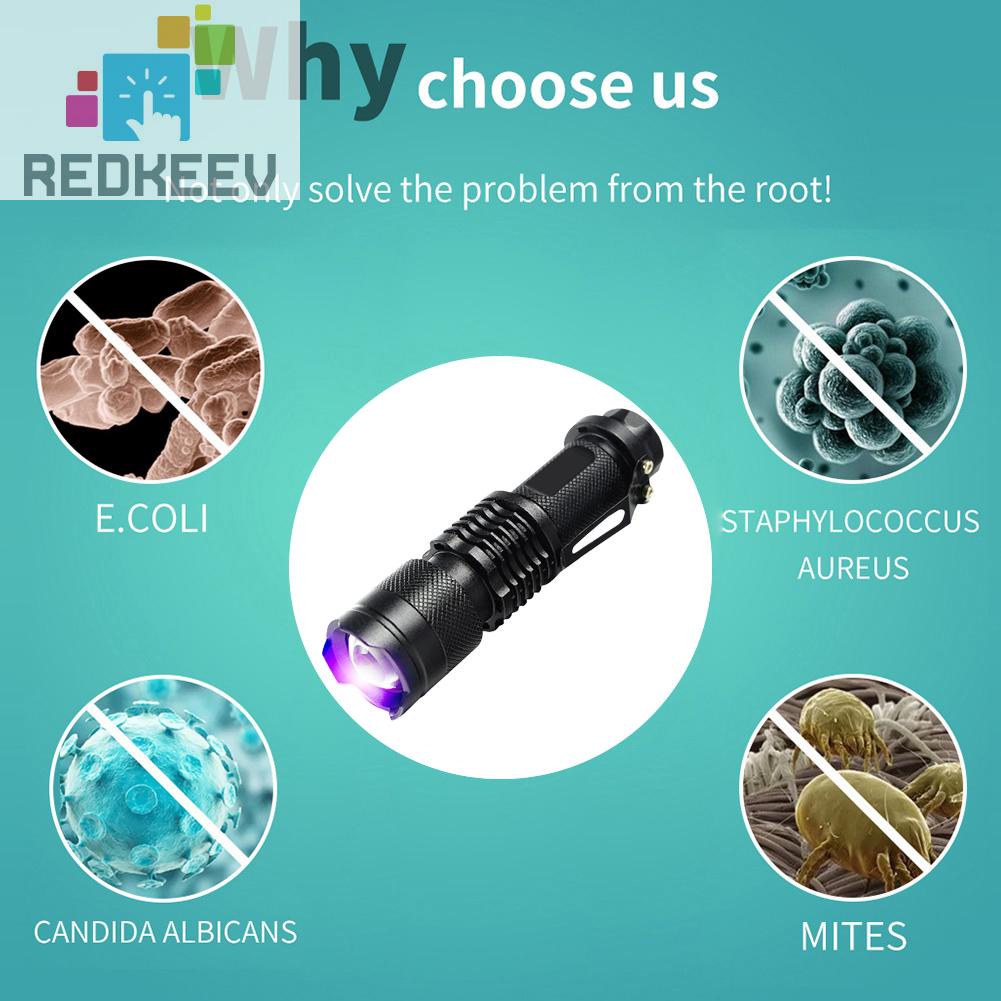 Đèn LED UV Ánh Sáng Tím Dùng Pin Kiểm Tra Vết Bẩn Thú Cưng