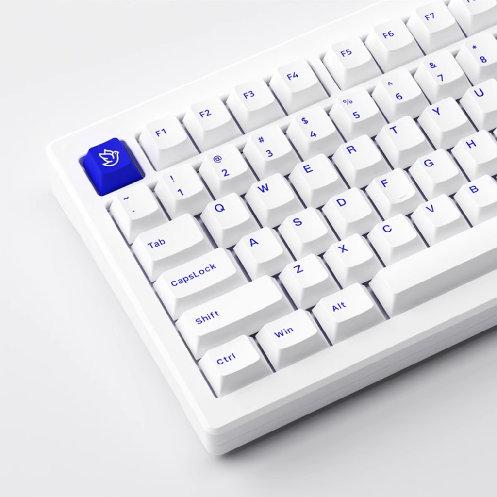 Bàn phím cơ AKKO MOD007PC Blue On White