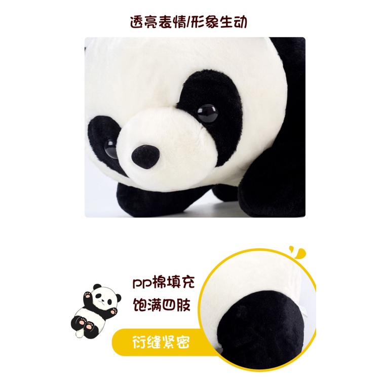 Gấu Trúc Nhồi Bông Thiết Kế Dễ Thương Xinh Xắn