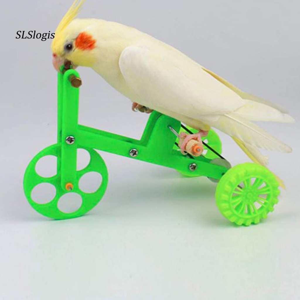 Xe Đạp Đồ Chơi Giải Trí Dành Cho Vẹt