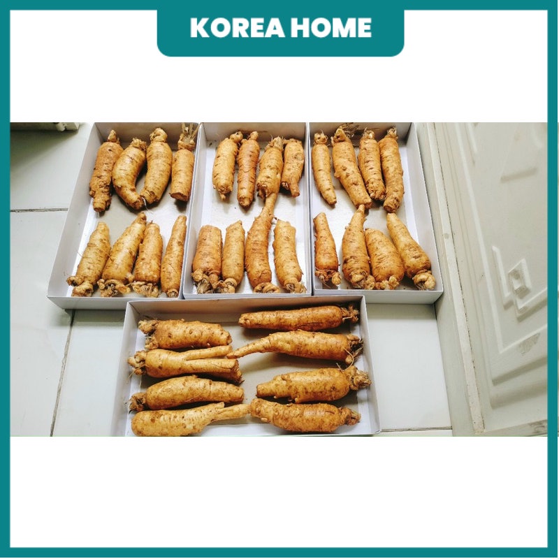 Sâm trọc ngâm mật ong, sâm gãy