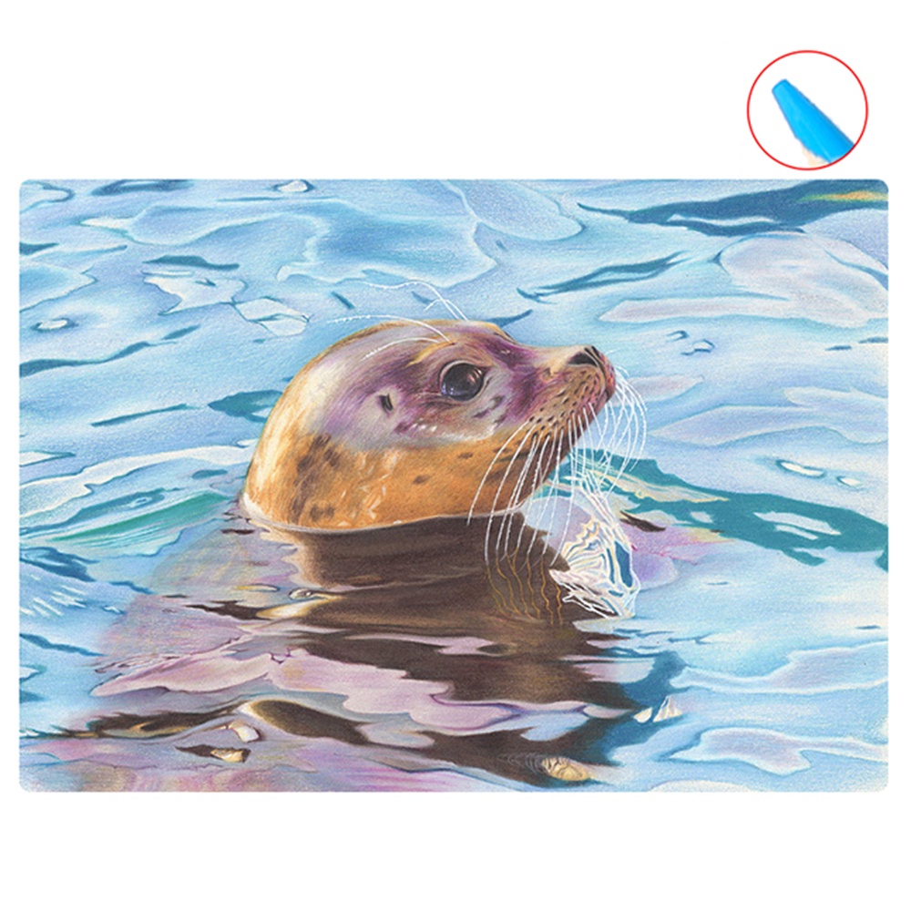 Bộ Bút Màu Vẽ Phác Thảo Dành Cho Người Lớn