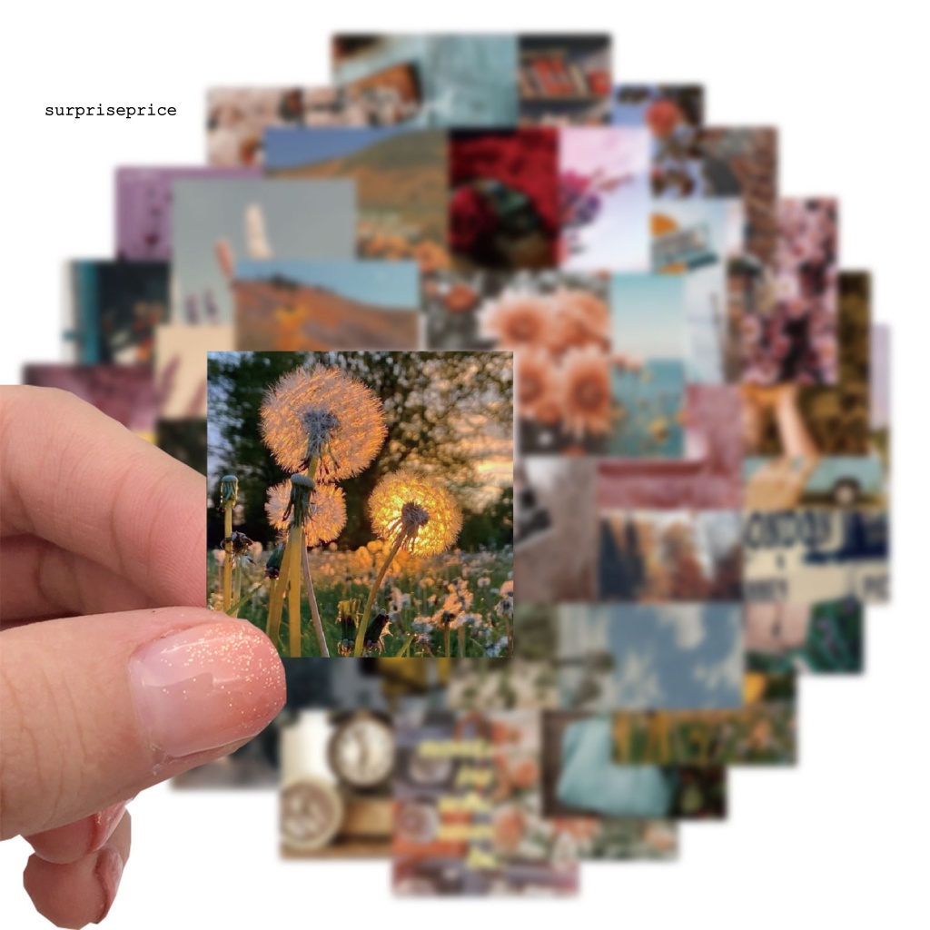 Bộ 56 Miếng Dán PVC Chống Nước Dùng Trang Trí Ván Trượt