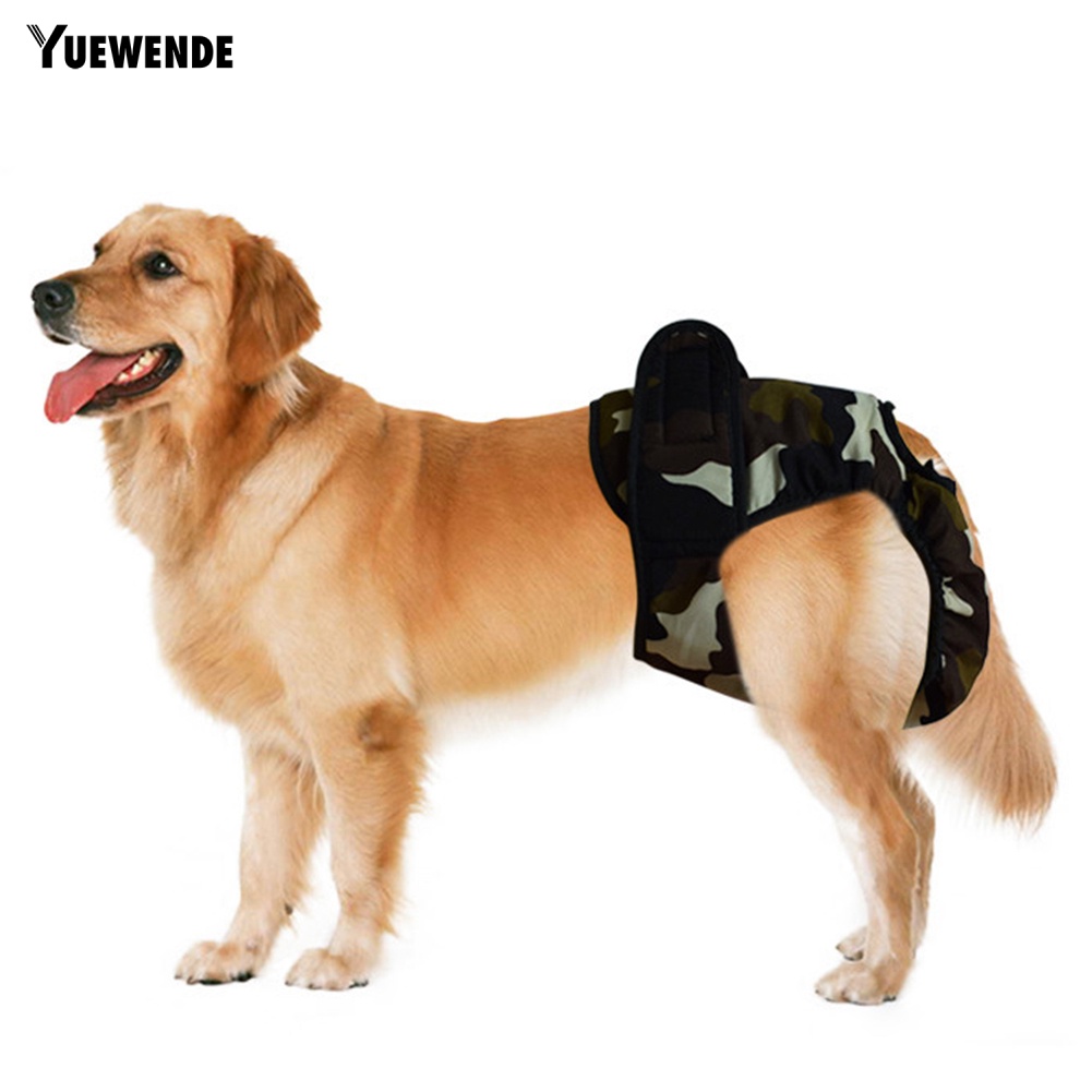 Tã Quần Sinh Lý In Họa Tiết Hoạt Hình Dễ Thương Giặt Được Tiện Dụng Cho Nữ