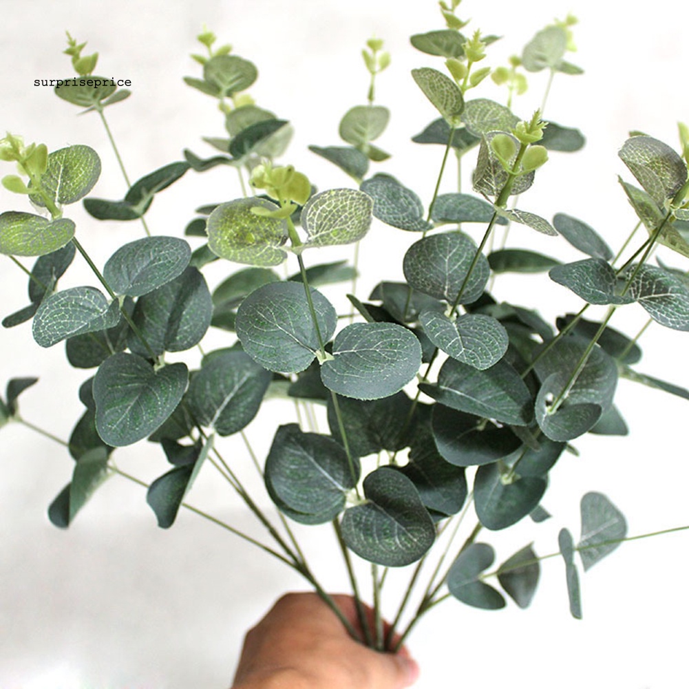 1 Bó Lá Bạch Đàn Nhân Tạo Bằng Nhựa Cho Trang Trí