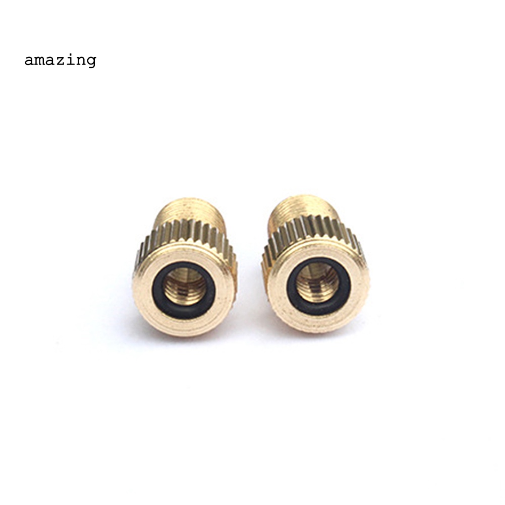 Bộ 10 Đầu Chuyển Đổi Van Presta Sang Schrader Cho Xe Đạp