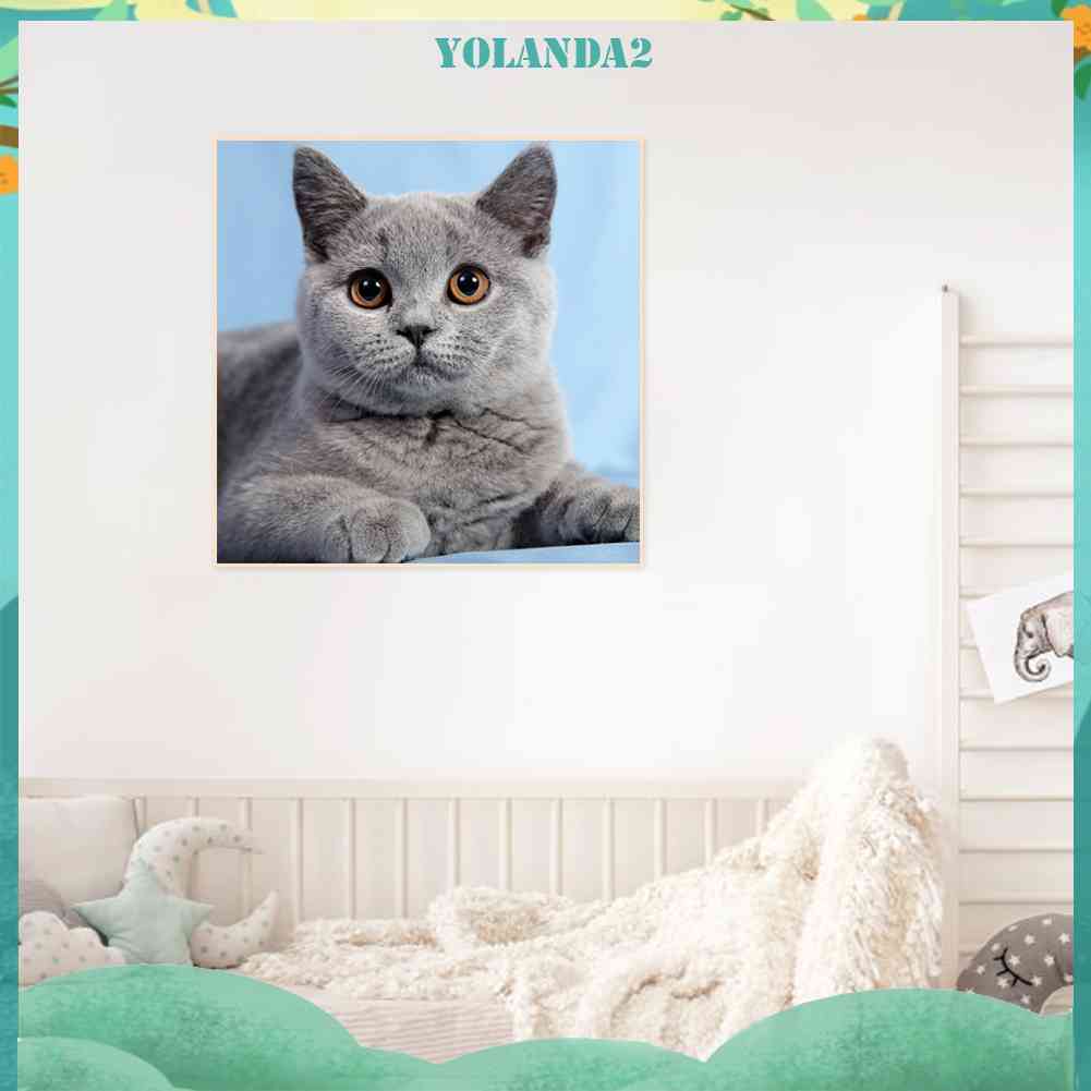 Tranh Đính Đá Kim Cương Toàn Bộ 5D DIY Hình Vẽ Mèo Trang Trí Nhà Cửa