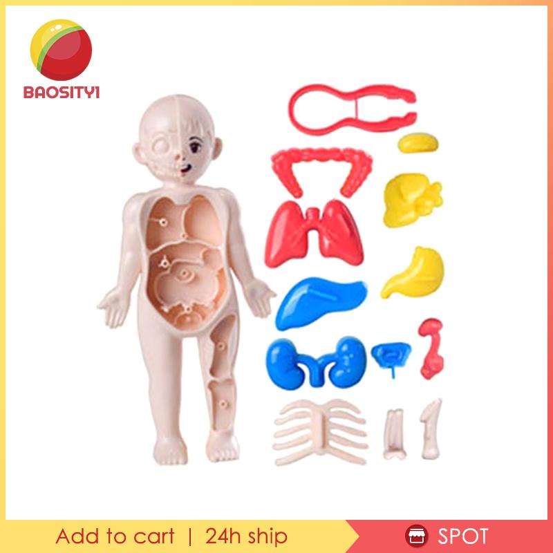 [Baosity 1] Bộ Đồ Chơi Dạy Học Cơ Thể Người Cho Trẻ Mẫu Giáo