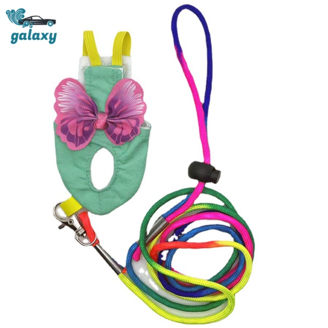 Galaxy Tã Lót Kèm Dây Dắt Cho Vẹt Cưng Cỡ Nhỏ / Vừa / Nhỏ Tiện Dụng