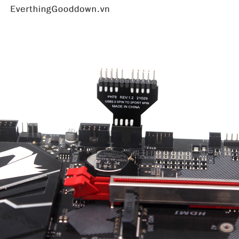 Everthingood Cáp Nối Bo Mạch Chủ Chuyển Đổi USB 2.0 1 Sang 2 Cổng 9 Pin