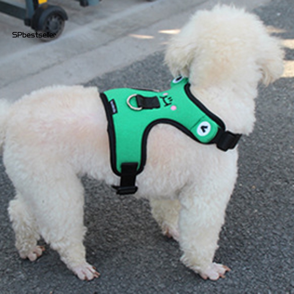 Dây Dắt Thú Cưng Đi Dạo Bằng Polyester Thoáng Khí Điều Chỉnh Được