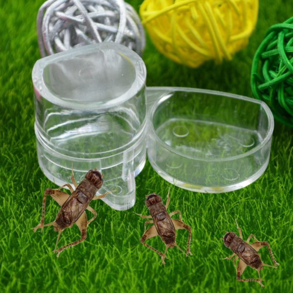 Epoch 1 Lồng Nuôi Kiến Tròn Bằng Acrylic Trong Suốt Tiện Dụng Cho Nhà Bếp