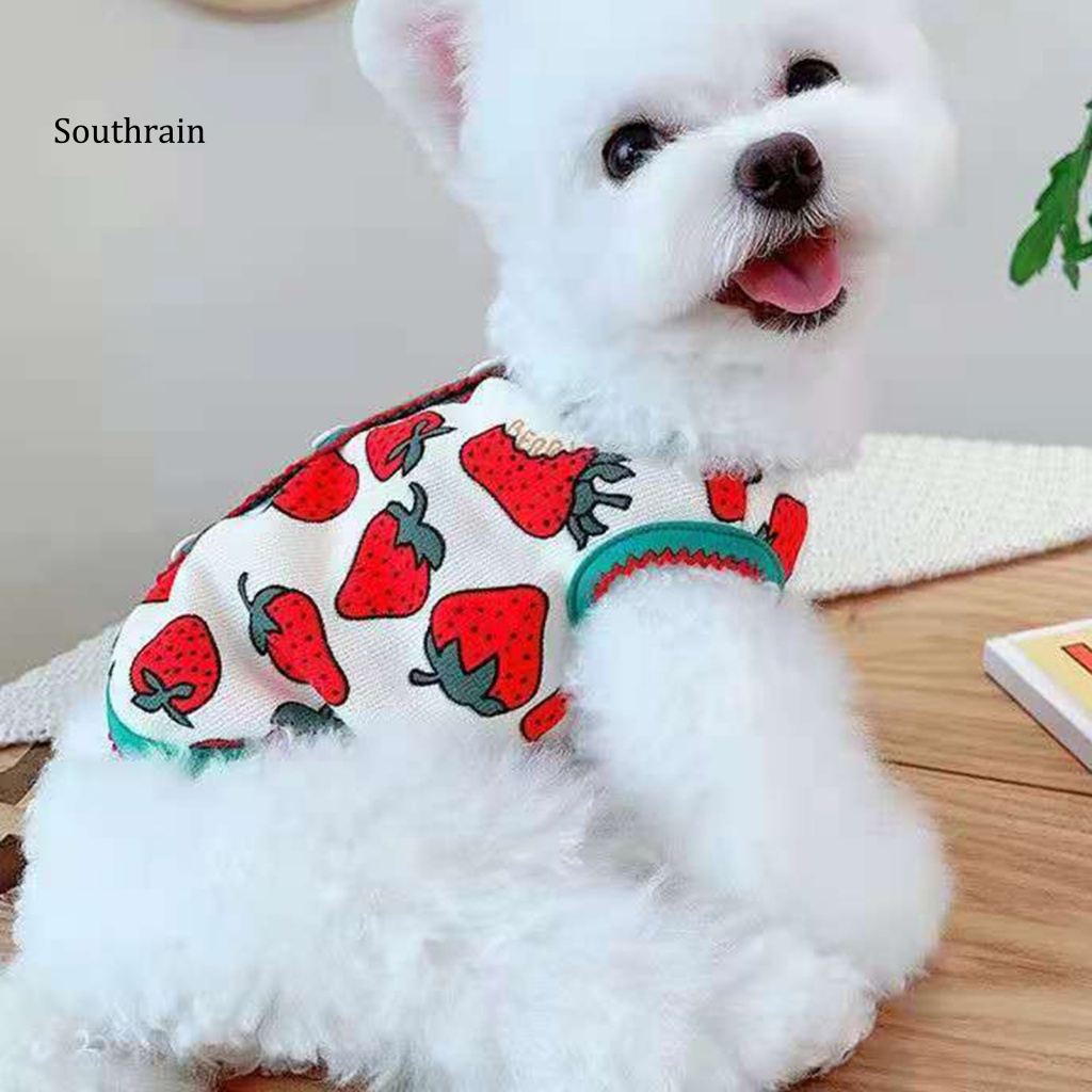 Bộ Đồ Hóa Trang Họa Tiết Dâu Tây Hoạt Hình Giữ Ấm Cho Cún Cưng