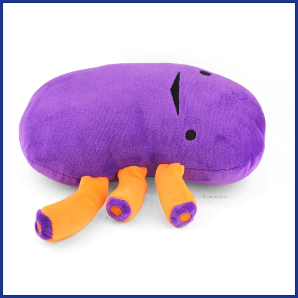 Đồ Chơi Nhồi Bông Hoạt Hình I Heart Guts: Kidney 20cm