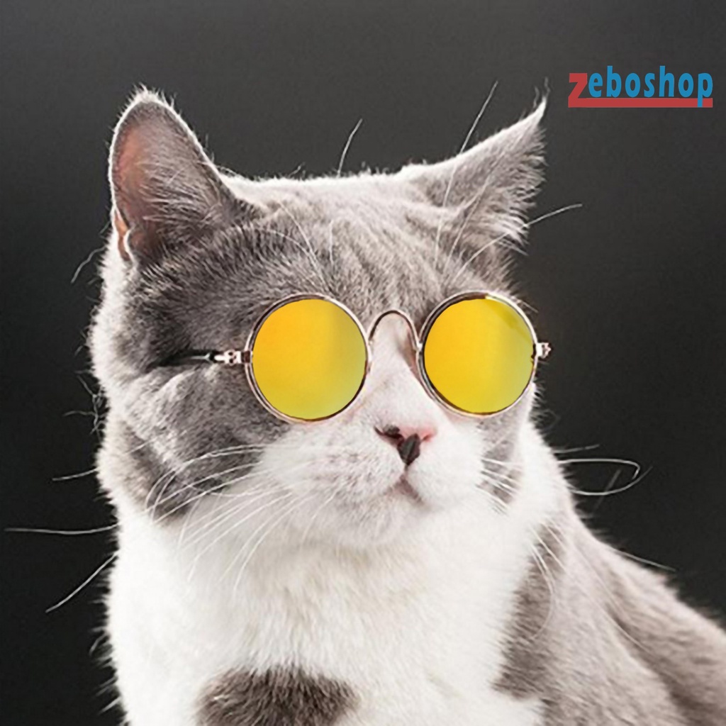 Zeboshop Kính Mát Gọng Mini AC Trong Suốt Thời Trang Cho Thú Cưng Chụp Ảnh