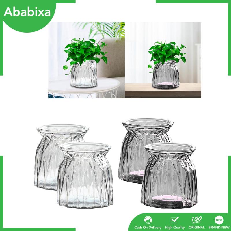 Set 2 Lọ Thủy Tinh Trồng Cây Khô Kèm Giá Đỡ Dành Cho Nhà Bếp / Phòng Ngủ