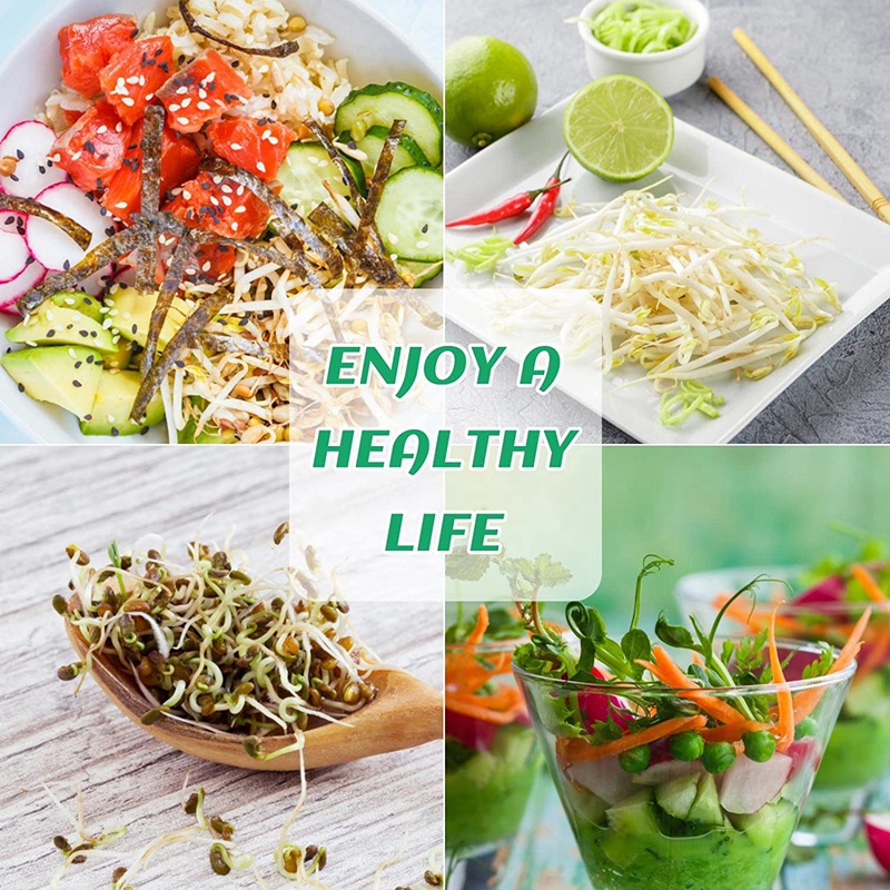 Hũ Gieo Hạt Trồng Mầm Mầm 2 Ngăn Có Nắp Lưới