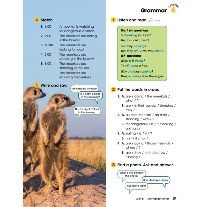 Look 3 Student's Book )