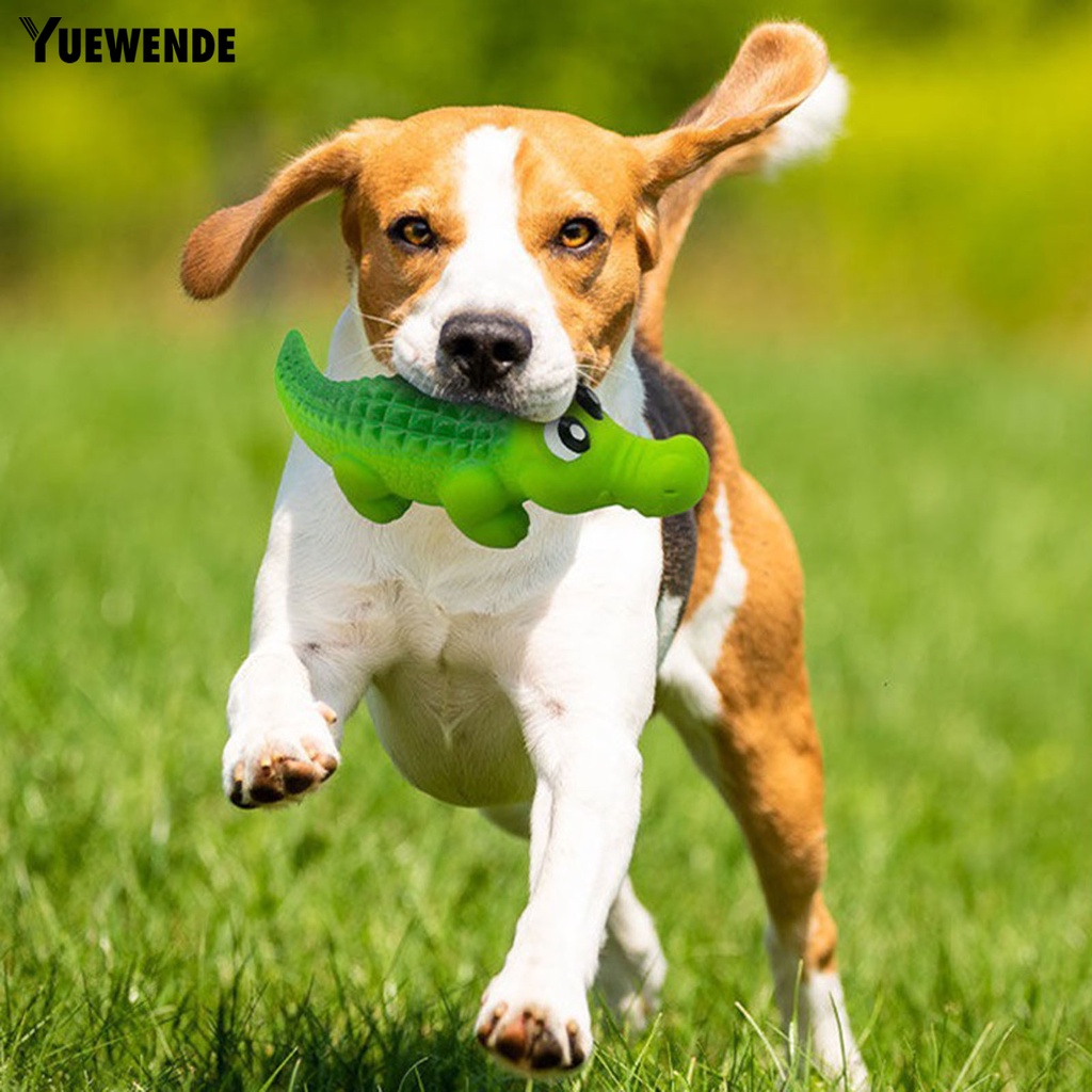 Đồ Chơi Hình Cá Sấu Phát Ra Âm Thanh Vui Nhộn Cho Thú Cưng