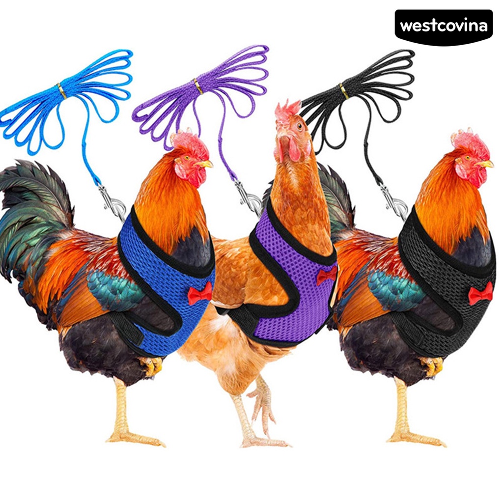 [COD]♞Áo Vest Lưới Thoáng Khí Có Kẹp Bằng Thép Không Gỉ Có Thể Điều Chỉnh Dành Cho Chó Mèo