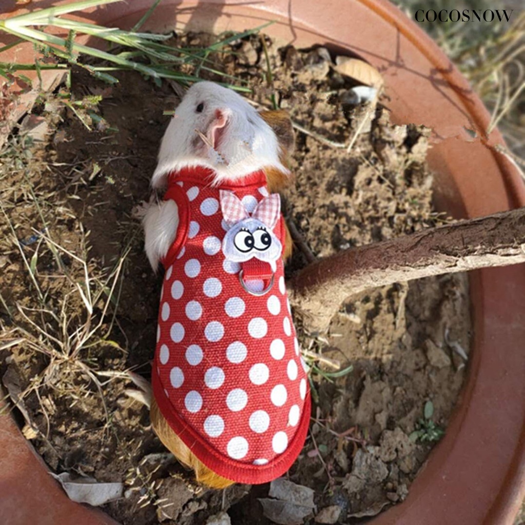 Trang Phục Hàng Xóm Của Tôi Là Totoro Áo Ấm Áp Mùa Thu Đông Cho Chuột Hamster Thỏ Guinea Guinea