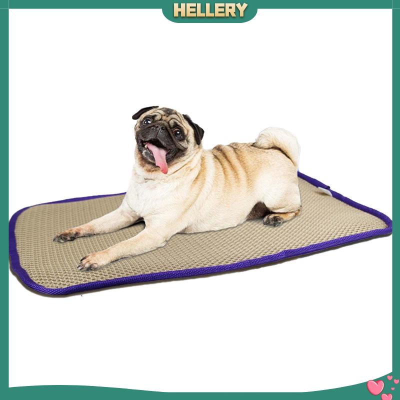 Đệm Ngủ MùA Hè MáT Mẻ Cho Thú Cưng