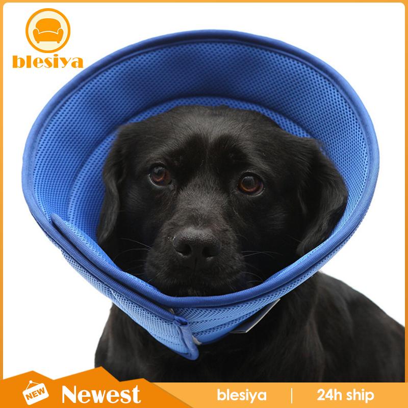 Dụng Cụ Hình Nón Bảo Vệ Cổ Chó Mèo Bị Cắn / Liếm Viền