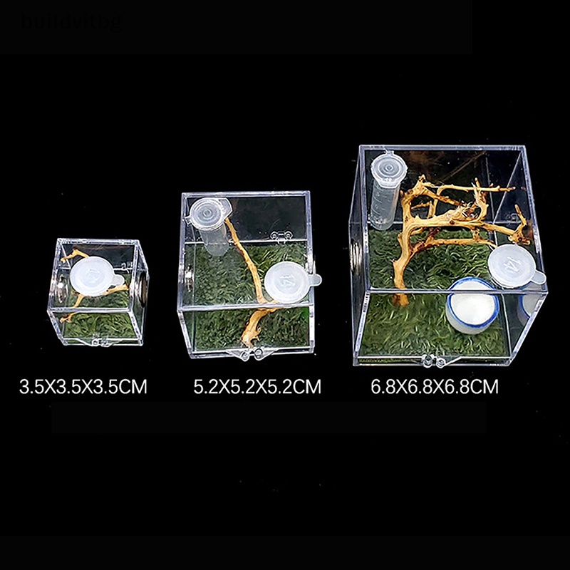 Hộp Nuôi Bò Sát / Côn Trùng Nhỏ Màu Đen Trong Suốt vitbg
