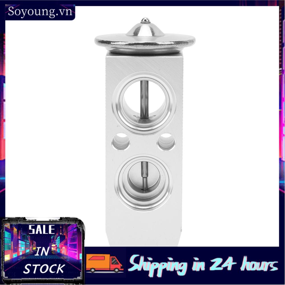 Soyoung 3411868  Reliable Lightweight High Efficiency AC Expansion Valve Front for Cars