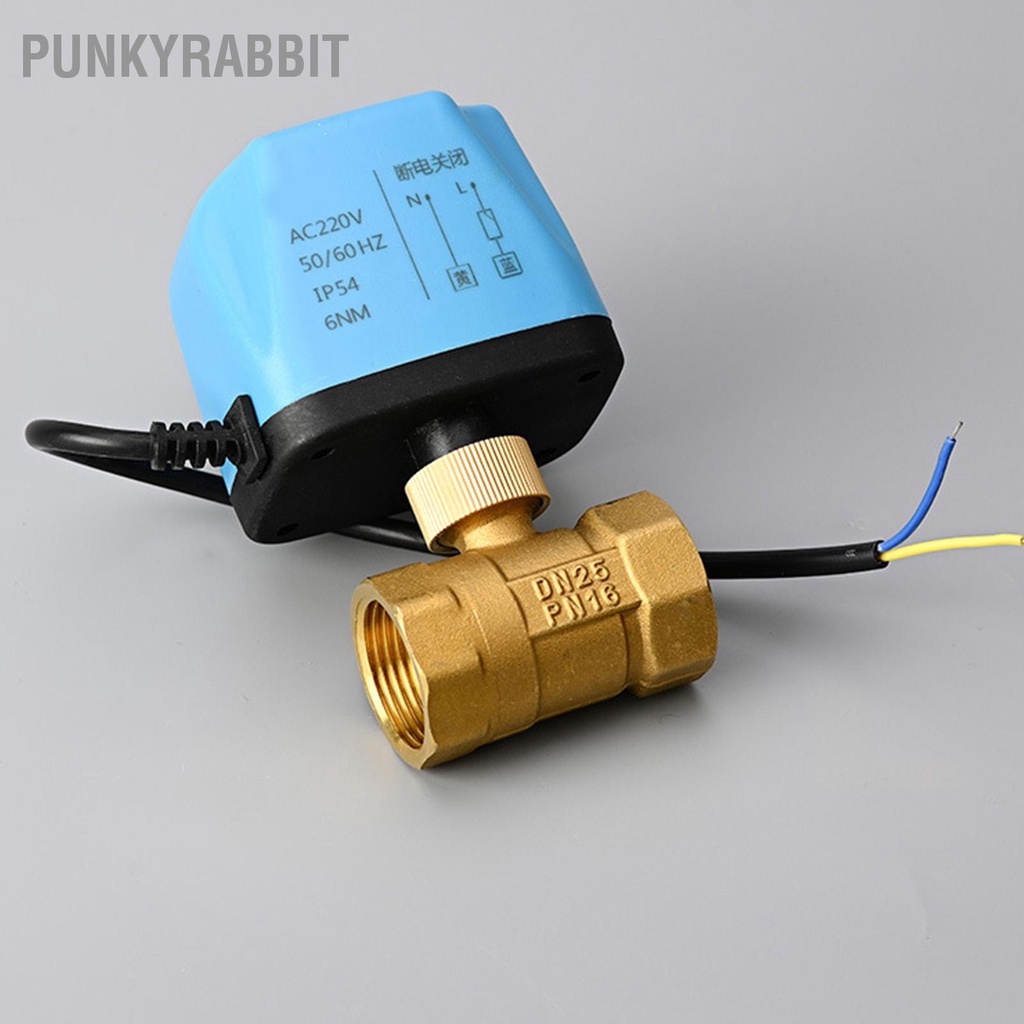 PunkyRabbit Van bi cơ giới Điện 2 chiều DN25 DC12‑24V Phụ kiện thiết bị thủy lực công nghiệp