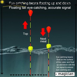 Phao nổi câu cá thiết kế mới siêu bền tiện dụng