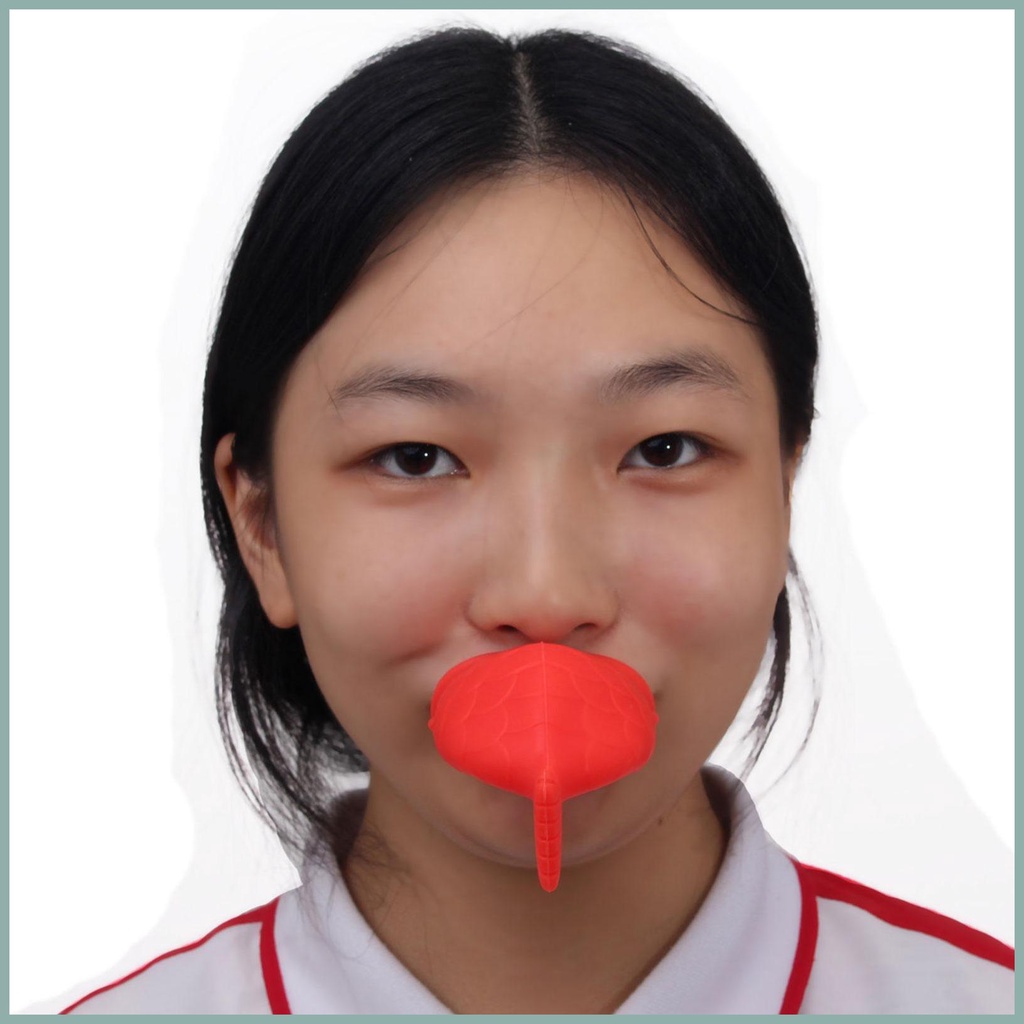 Dụng Cụ Bơm Môi Bằng Silicon Mềm Tự Nhiên Hình Con Cá