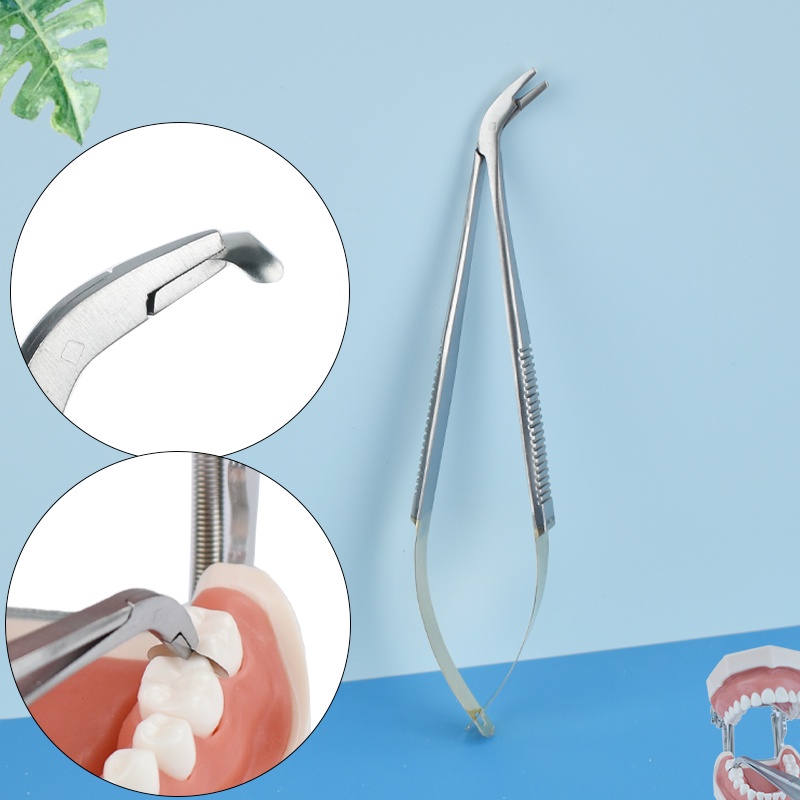 Bộ Dụng Cụ Nha Khoa Gồm Giá Đỡ Matrix - Matrix forceps