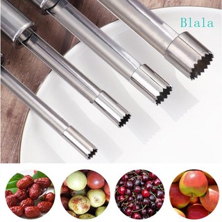 Blala 4 miếng fruit corer and pitter remover for peach pear olives manual pitting tool