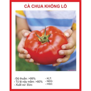 Hạt Giống Cà Chua Khổng Lồ