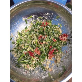 Cây chanh bắc - chanh ta ( ăn được lá ) (chi  lăng shop 47 )