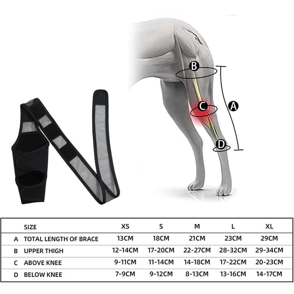 Alison Miếng đệm đầu gối cho thú cưng Bọc chân có thể điều chỉnh Hock Khớp quấn người khuyết tật Chấn thương khớp Băng cho chó cho chân phải bên trái Hỗ trợ bảo vệ chó